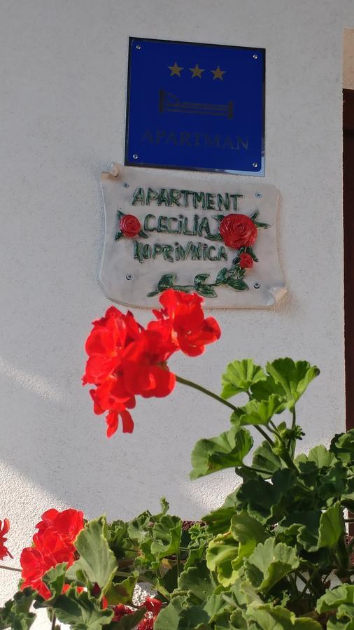 Apartment Cecilia Koprivnica Exterior foto